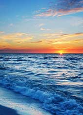 Net Net Net Property